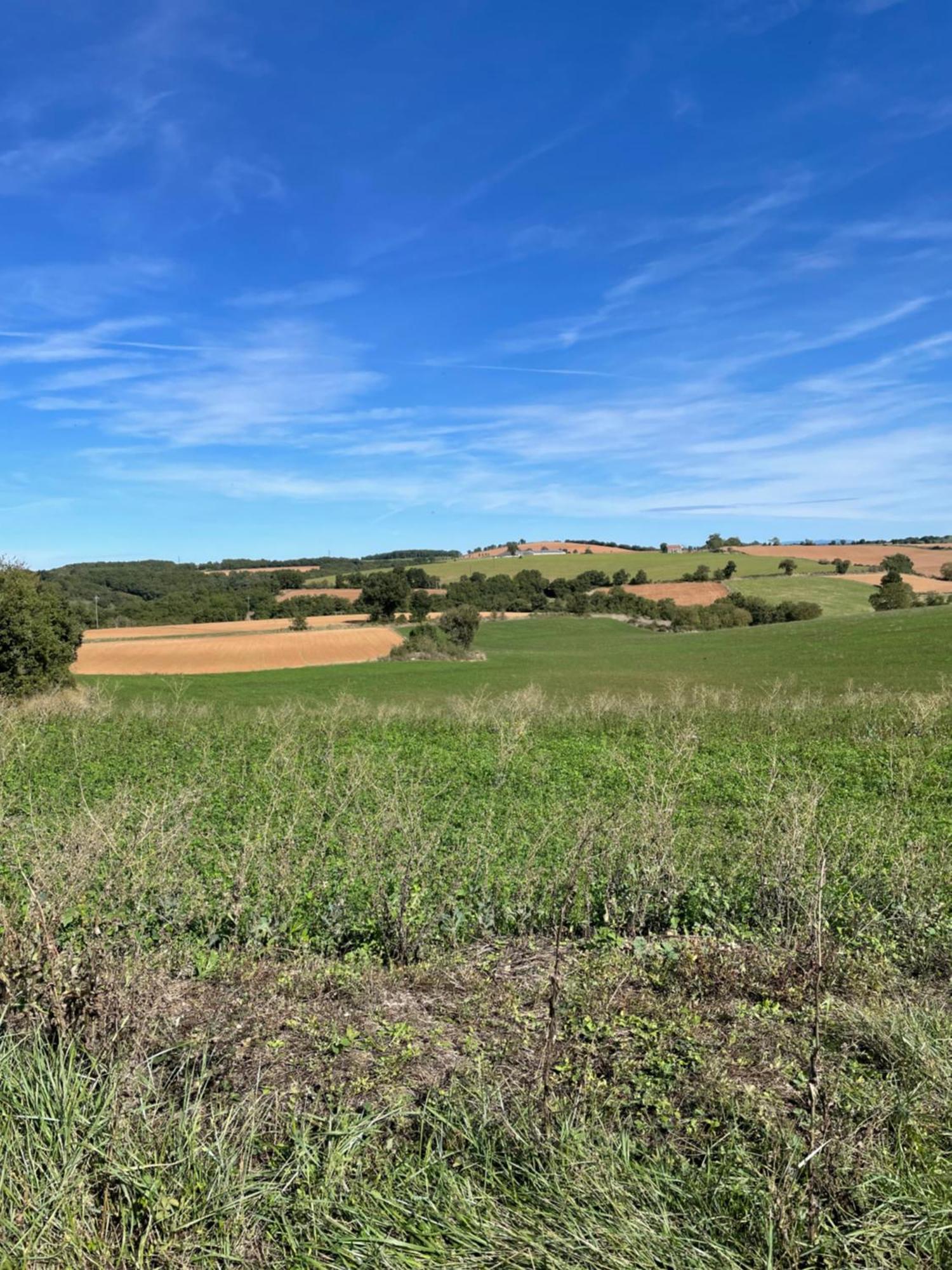 La Raspelle Holiday home Les Costes-Gozon
